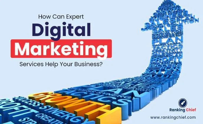 Expert Digital Marketing Services